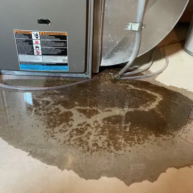 Appliance Leak Cleanup in Chillicothe, IL